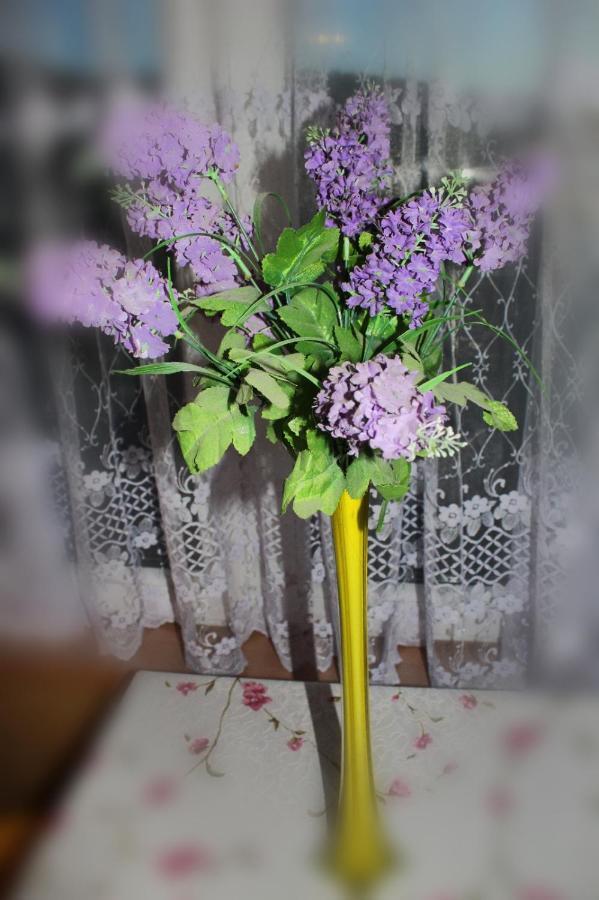 Pati Apartament Slonko Wisła Esterno foto