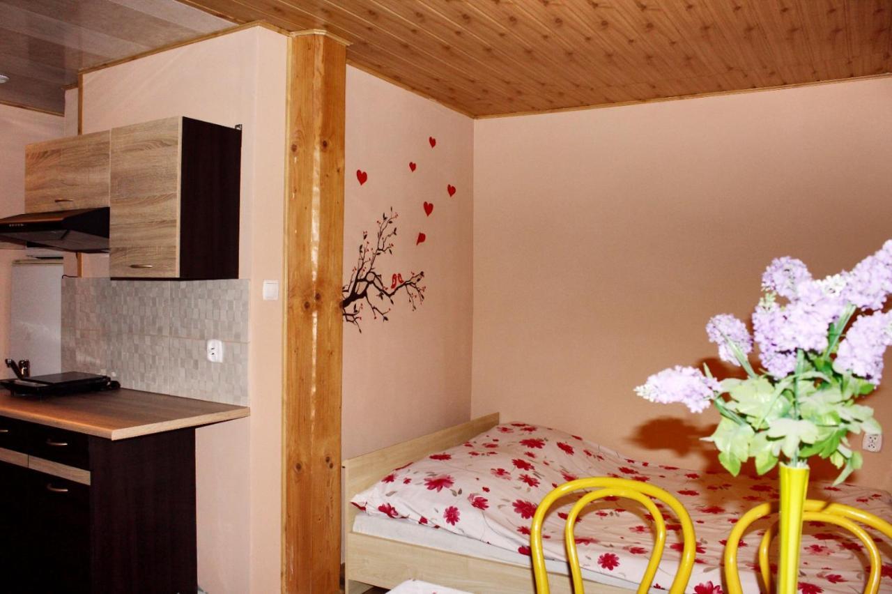 Pati Apartament Slonko Wisła Esterno foto
